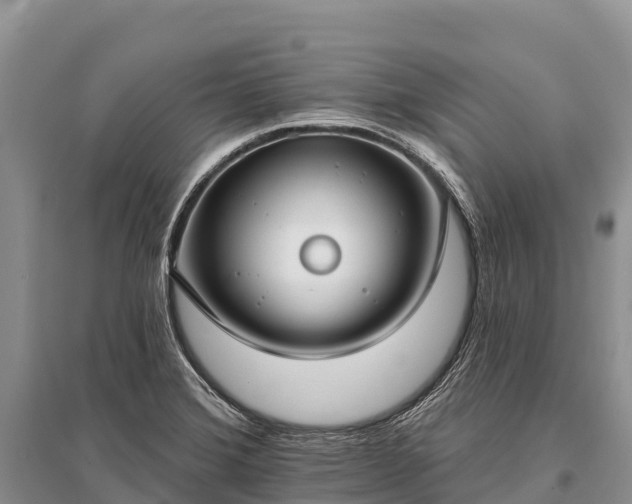 X0000096151372200801251055