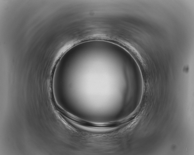 X0000096151373200801251055