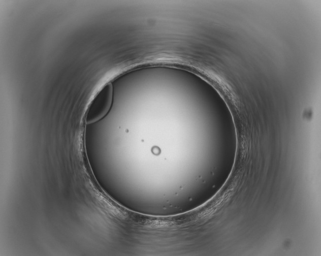 X0000096151374200801251055