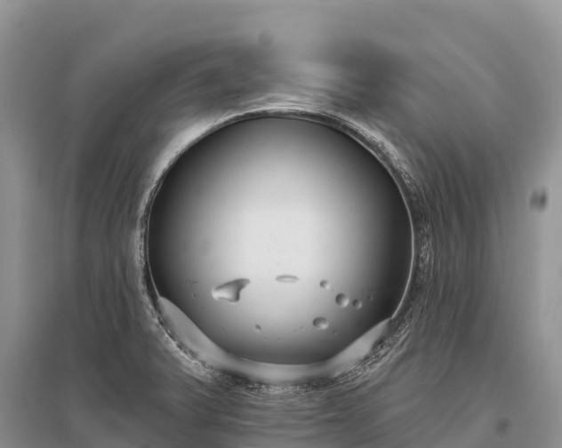 X0000096151375200801251055
