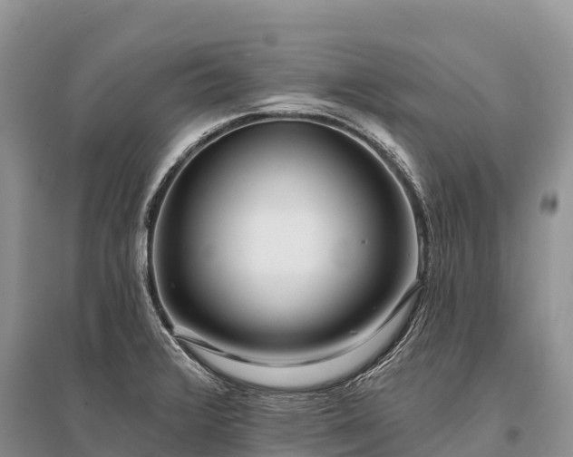 X0000096151376200801251055