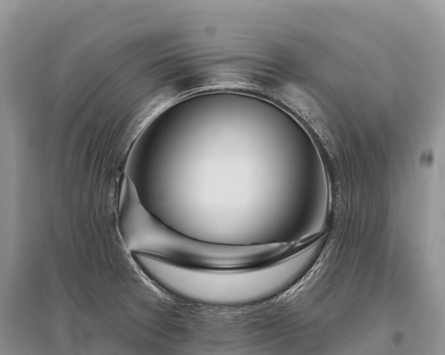 X0000096151377200801251055