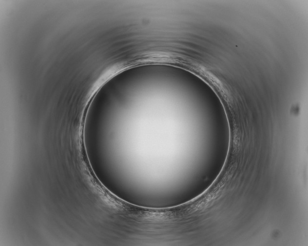 X0000096151378200801251055