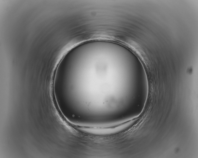 X0000096151379200801251055