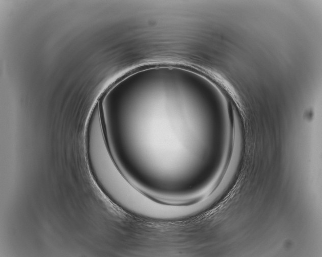X0000096151380200801251055