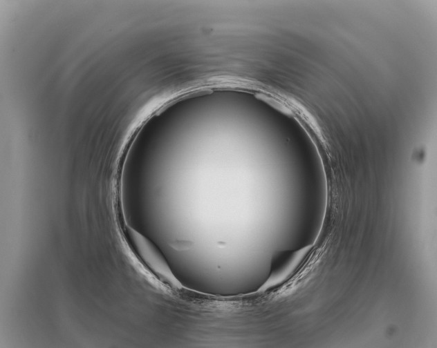 X0000096151381200801251055