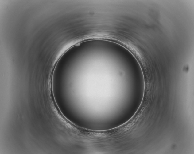 X0000096151382200801251055