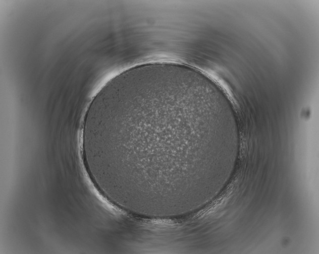 X0000096151383200801251055