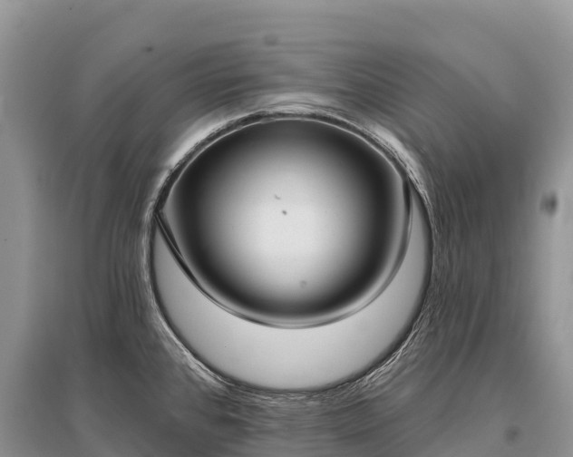 X0000096151384200801251055