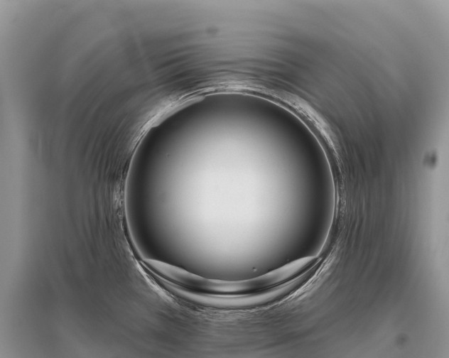 X0000096151385200801251055