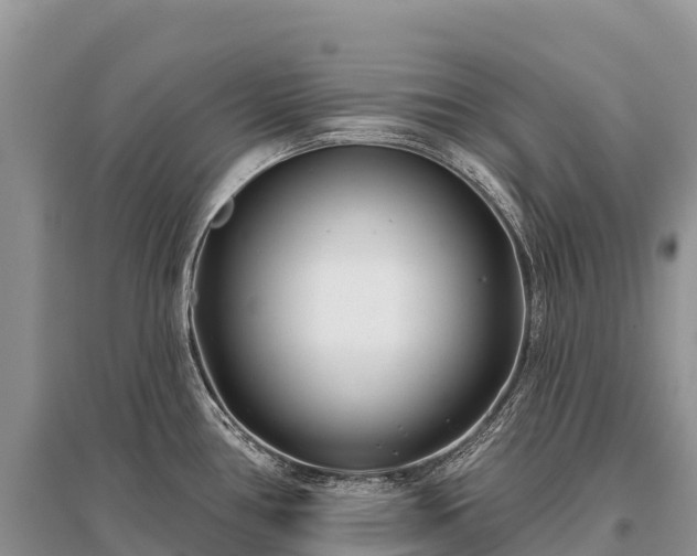 X0000096151386200801251055
