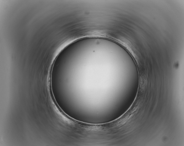 X0000096151387200801251055