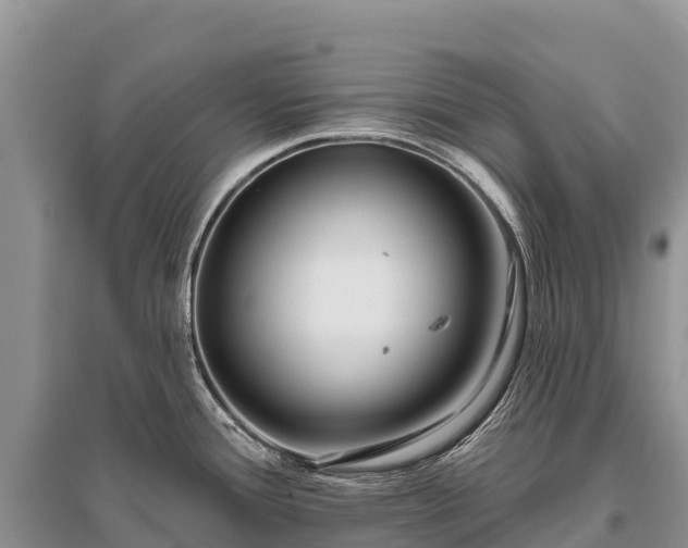 X0000096151388200801251055