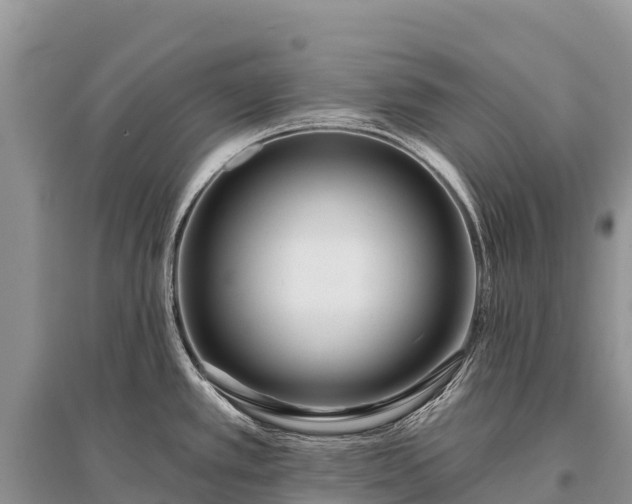X0000096151389200801251055