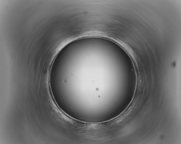 X0000096151390200801251054
