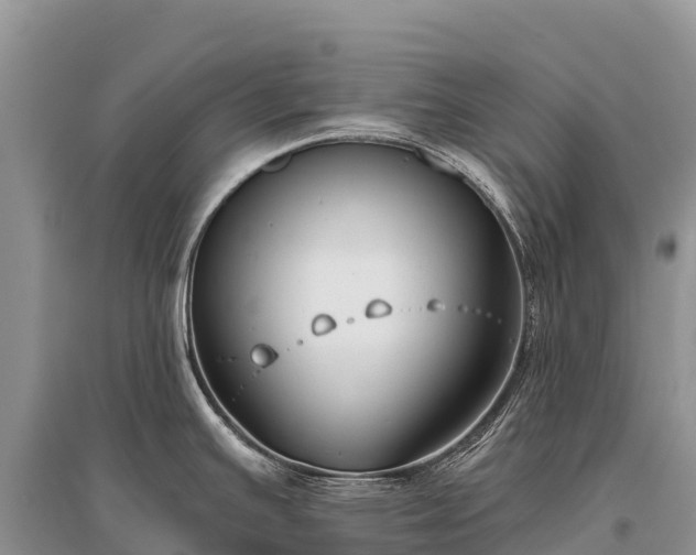 X0000096151391200801251054