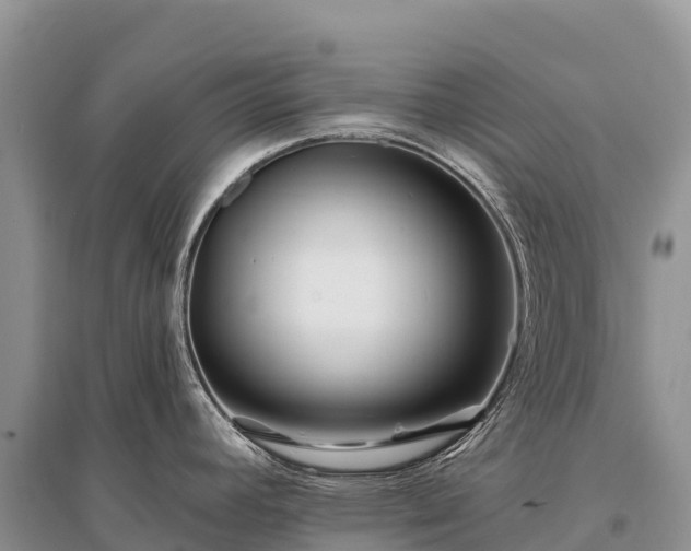 X0000096151392200801251054