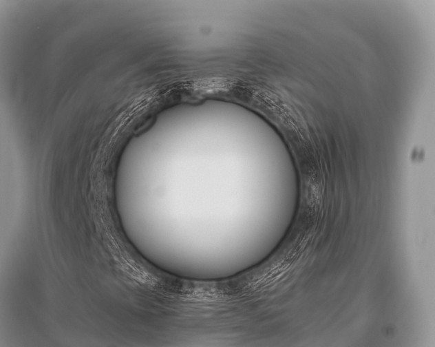 X0000096151393200801251054