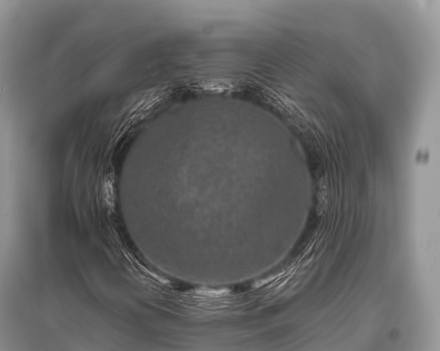 X0000096151394200801251054