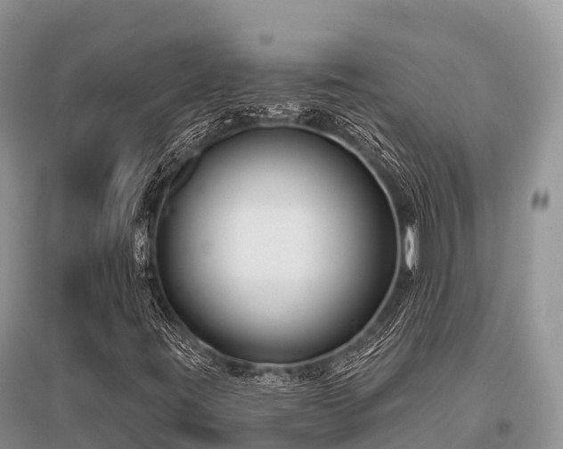 X0000096151395200801251054