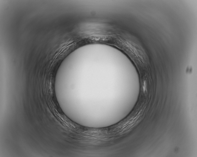 X0000096151396200801251054
