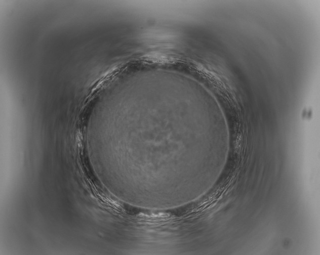 X0000096151397200801251054