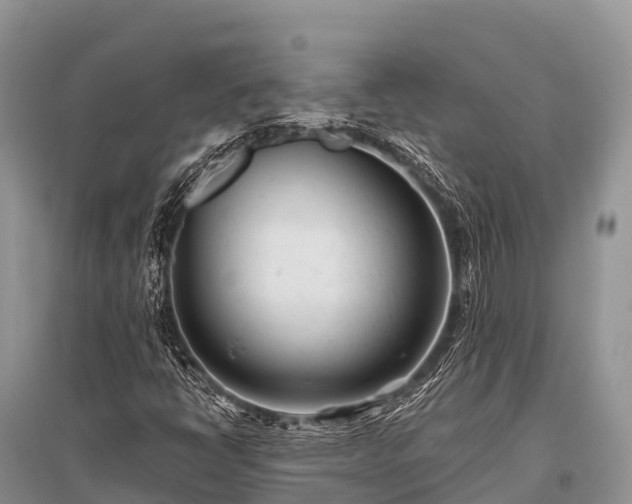 X0000096151398200801251054