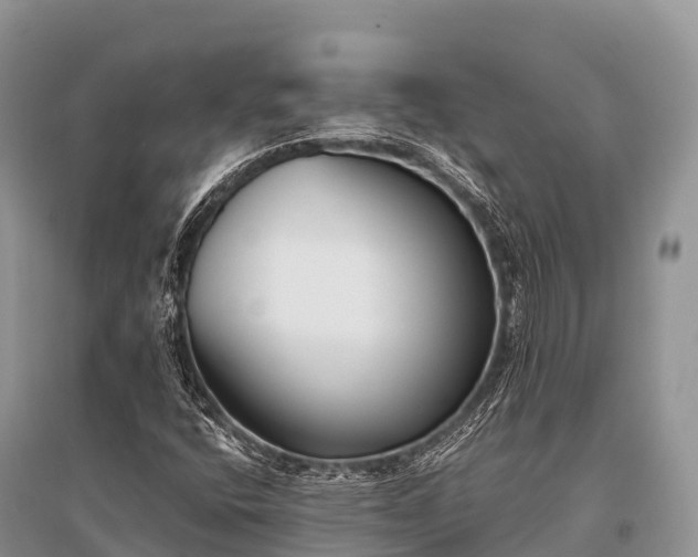 X0000096151400200801251054