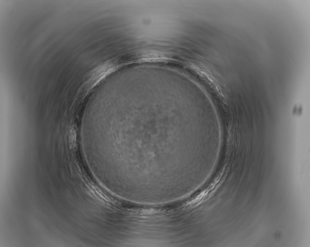 X0000096151401200801251054