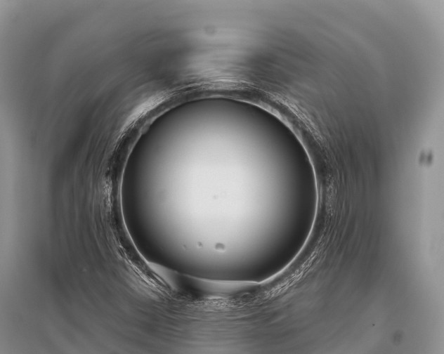 X0000096151402200801251054