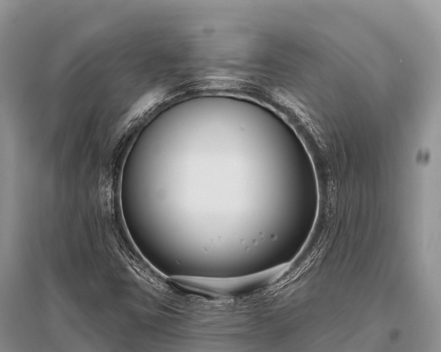 X0000096151403200801251054