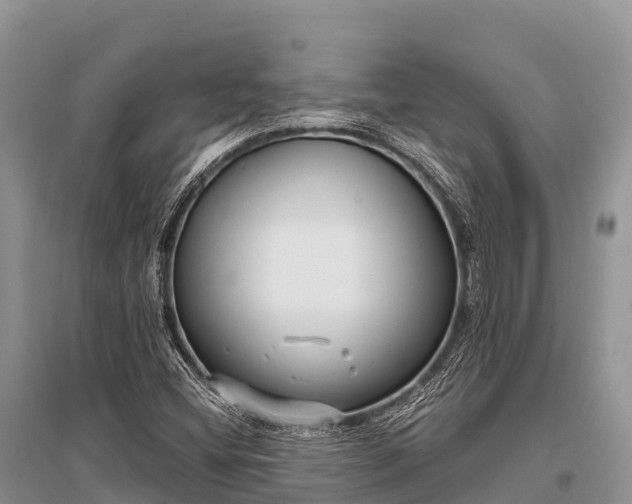 X0000096151404200801251054