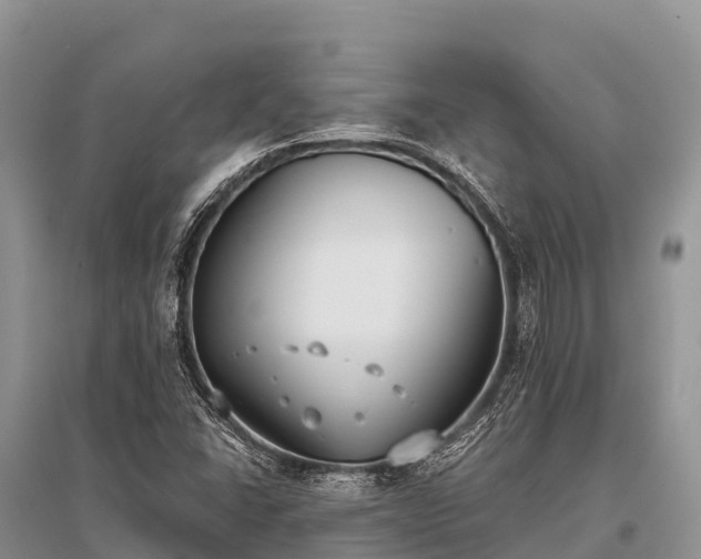 X0000096151406200801251054