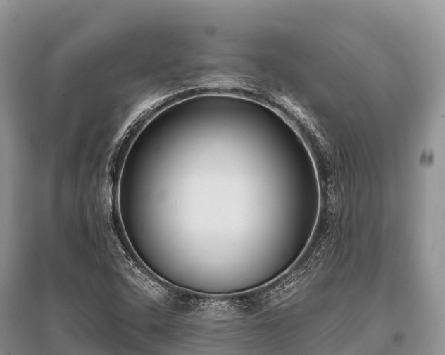 X0000096151408200801251054