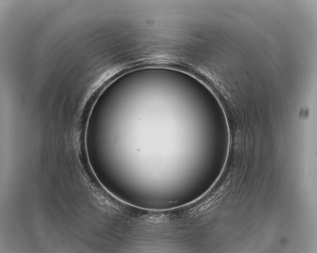 X0000096151410200801251054