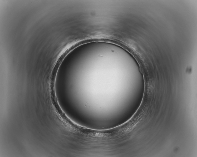 X0000096151412200801251054