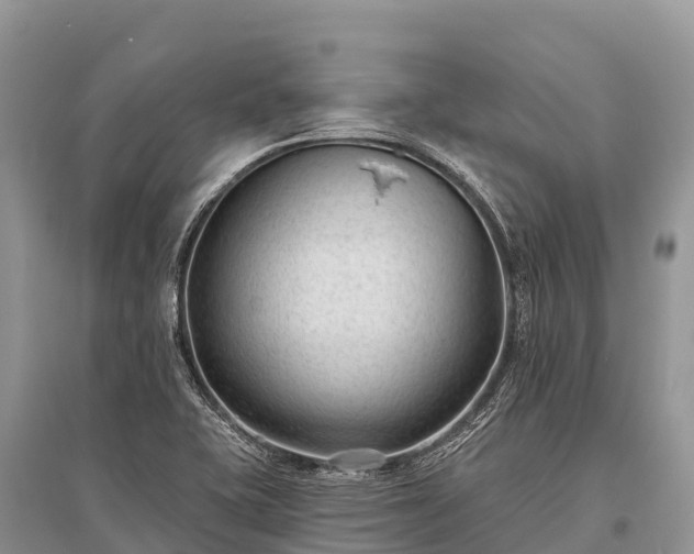 X0000096151415200801251054