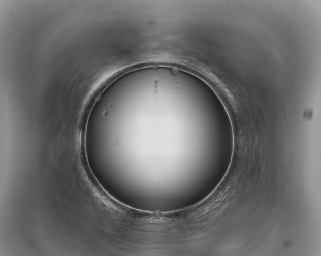 X0000096151416200801251054