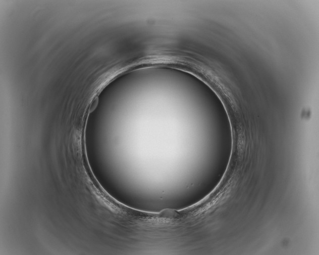 X0000096151417200801251054