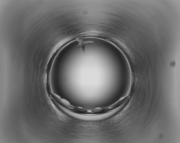 X0000096151418200801251054