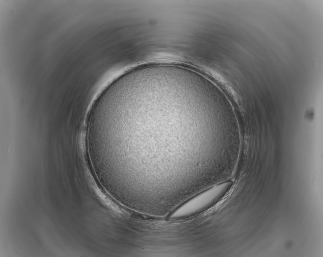 X0000096151421200801251054
