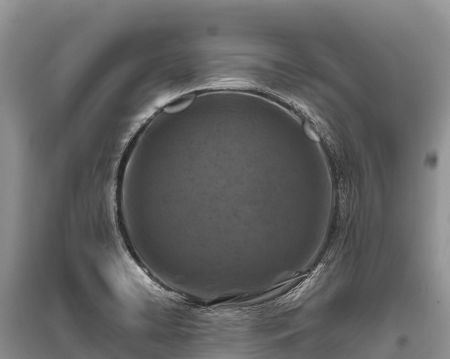 X0000096151422200801251054