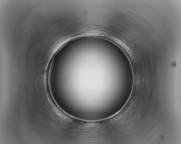 X0000096151423200801251054
