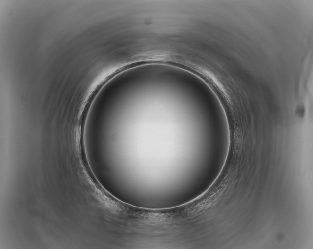 X0000096151424200801251054