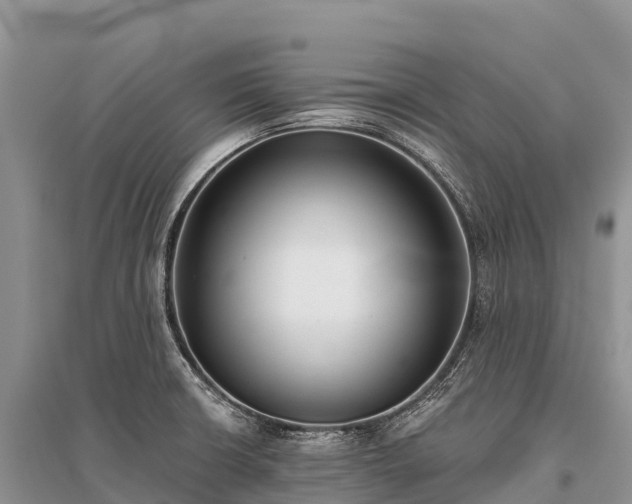 X0000096151426200801251054