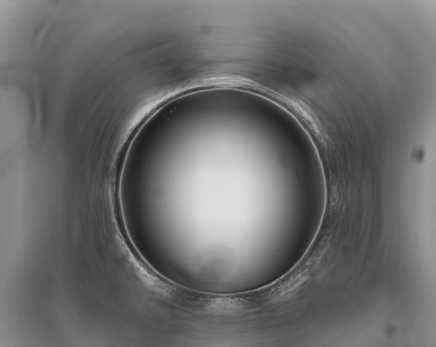X0000096151430200801251054