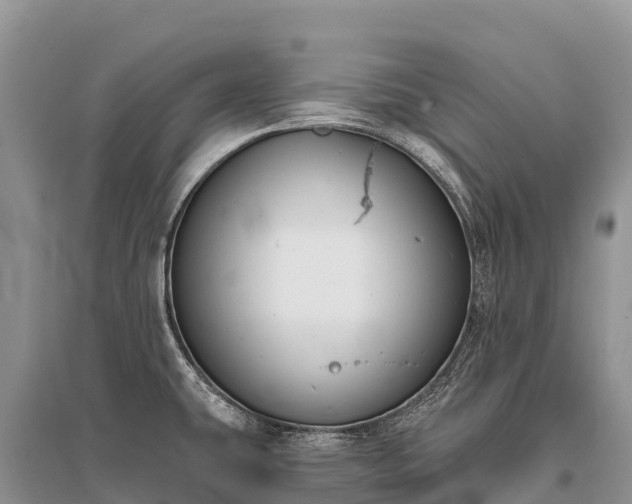 X0000096151431200801251054