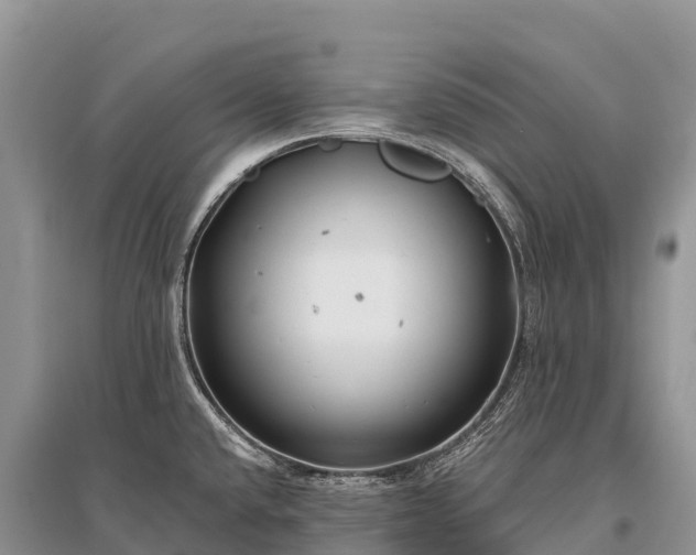 X0000096151432200801251054