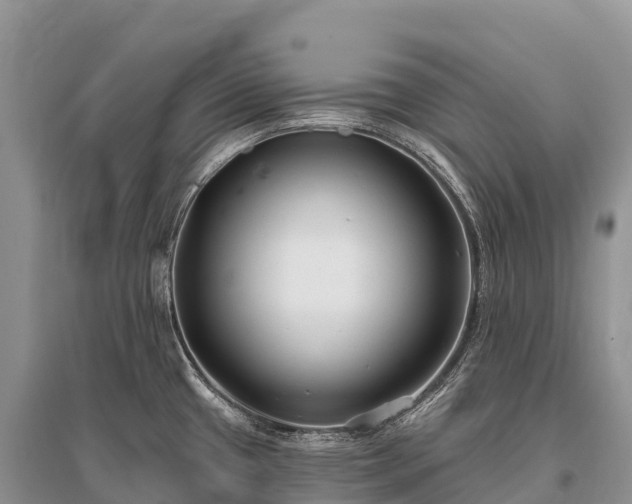 X0000096151433200801251054