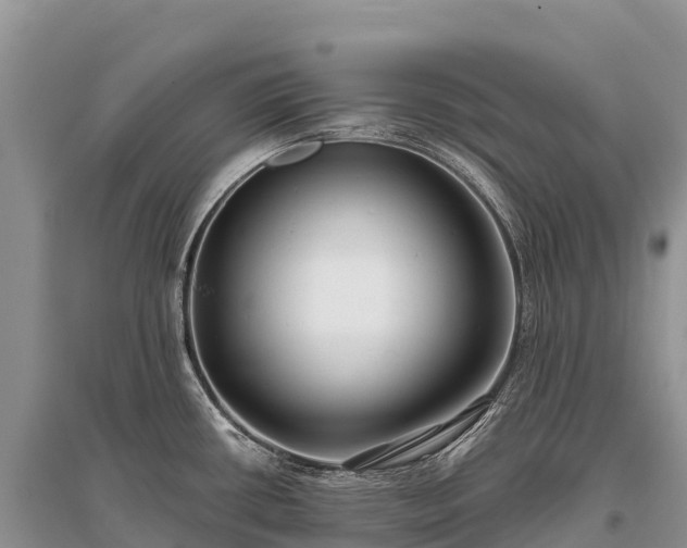X0000096151434200801251054